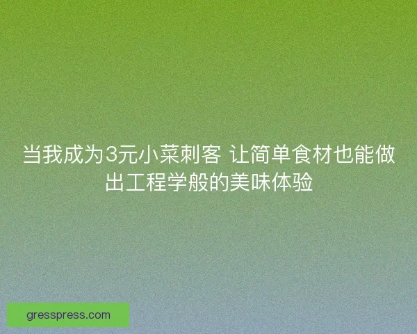 当我成为3元小菜刺客 让简单食材也能做出工程学般的美味体验