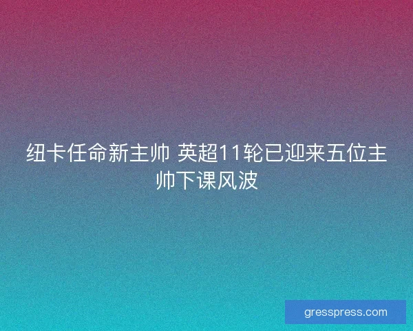 纽卡任命新主帅 英超11轮已迎来五位主帅下课风波 纽卡任命新主帅 英超11轮已迎来五位主帅下课风波